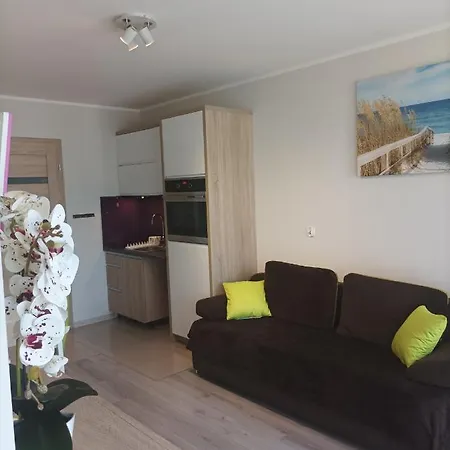 Zielona Wydma Apartament Łeba