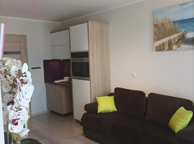 Zielona Wydma 公寓 莱鲍