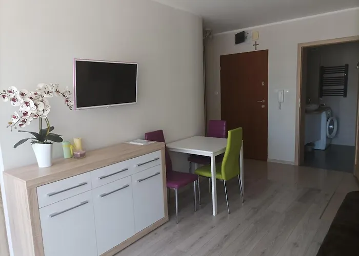 公寓 Zielona Wydma 莱鲍