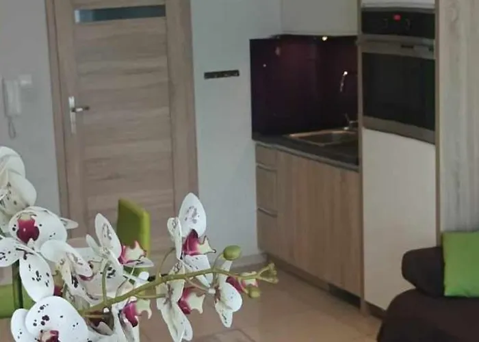 Zielona Wydma 莱鲍